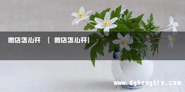 微店怎么开 (微店怎么开)